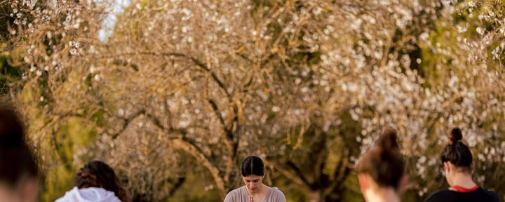 Vinyasa joga IBIZALOE (San Antonio)