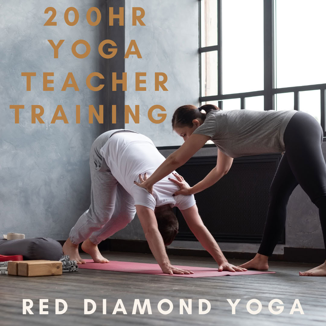 200 val. vinjasa jogos mokytojų rengimo kursai, sertifikuoti Yoga Alliance
