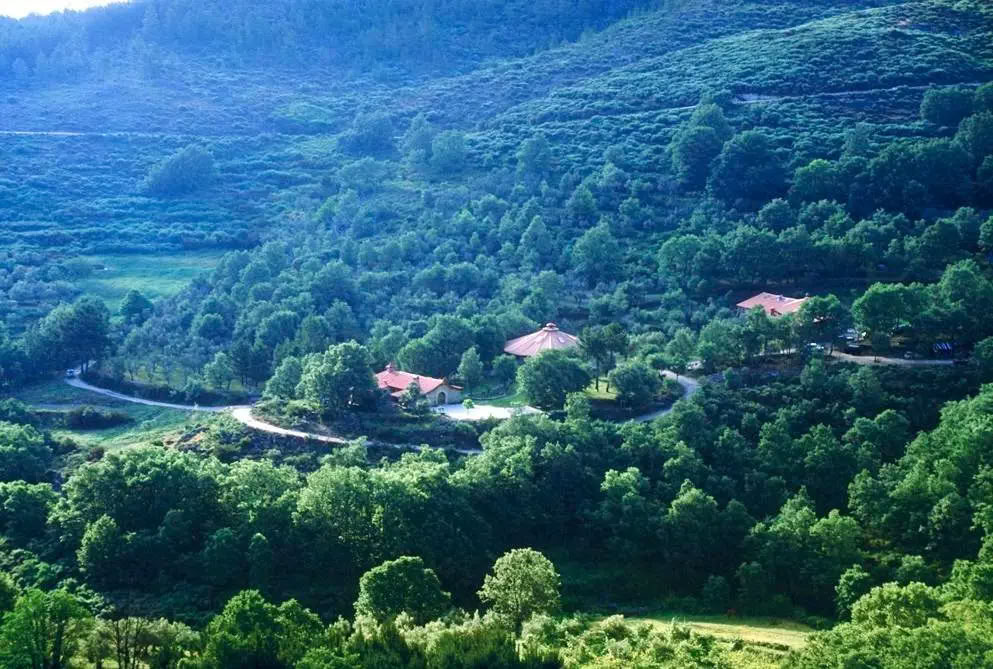 Turtingi ir laisvi