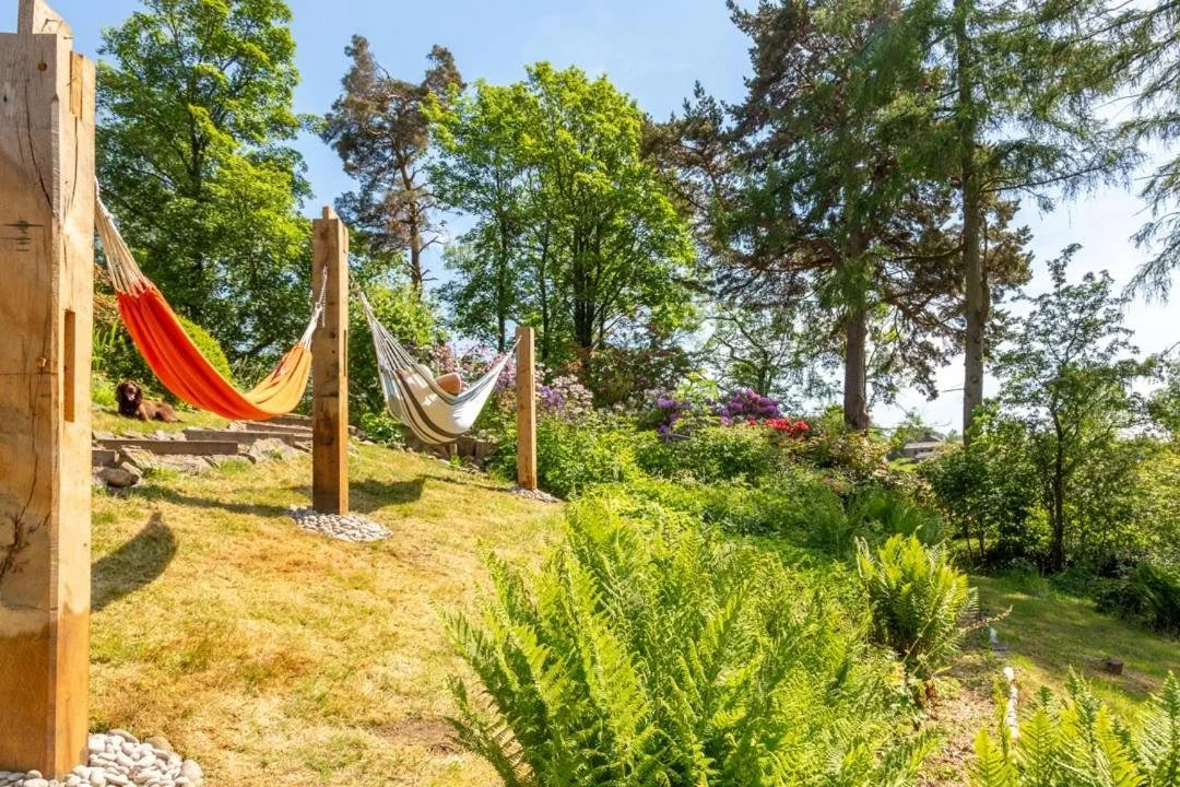 Pradedančiųjų SUP, joga, maudynės laukinėje gamtoje ir sauna