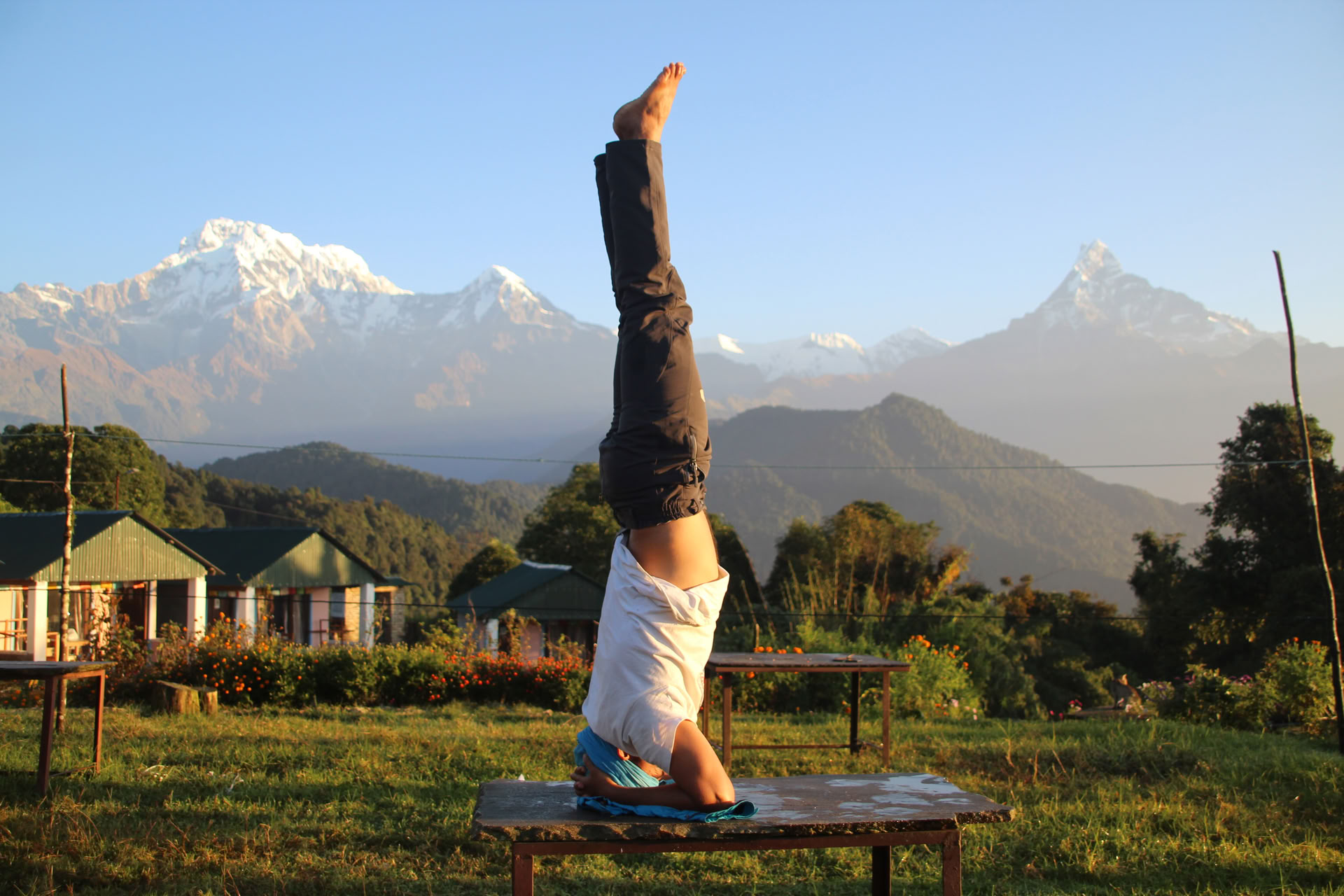 Joga retritas Dhampuse