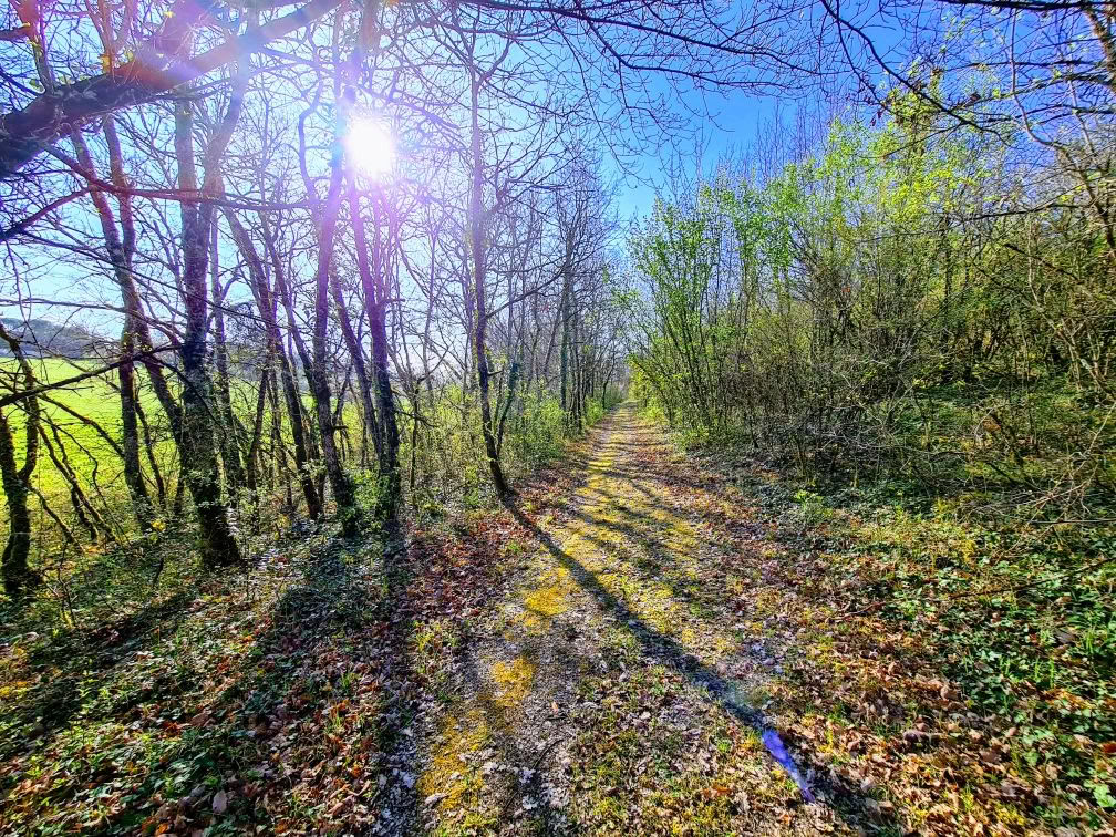 Detoksikacija, joga ir sveikatingumas