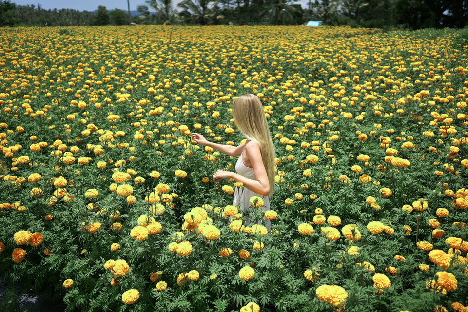 Rašymo ir sveikatingumo rezidencija