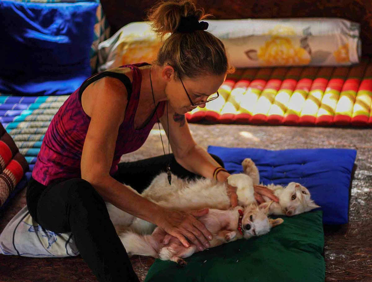 Reiki gydymas