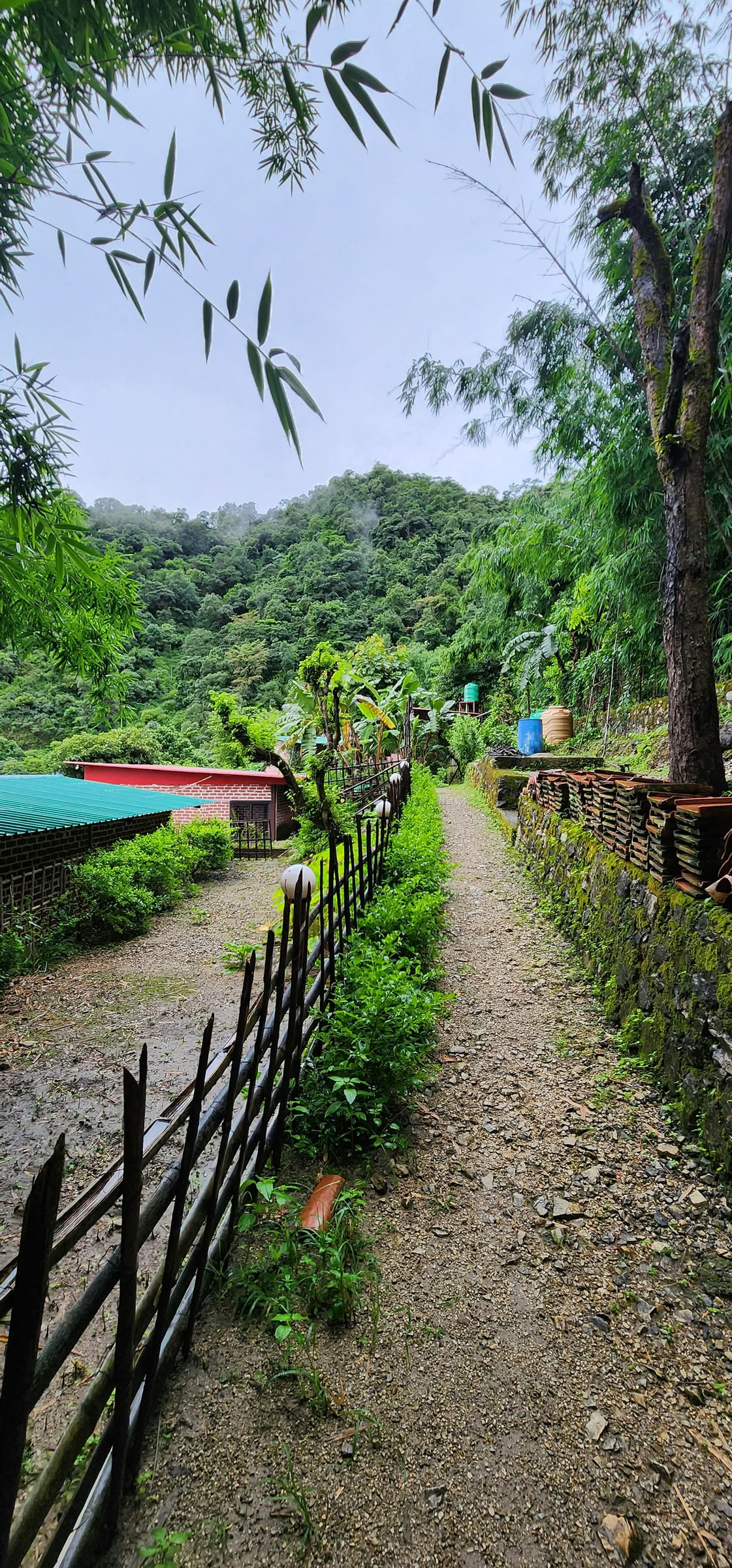 6 dienų pasidavimo retritas Rishikeshėje