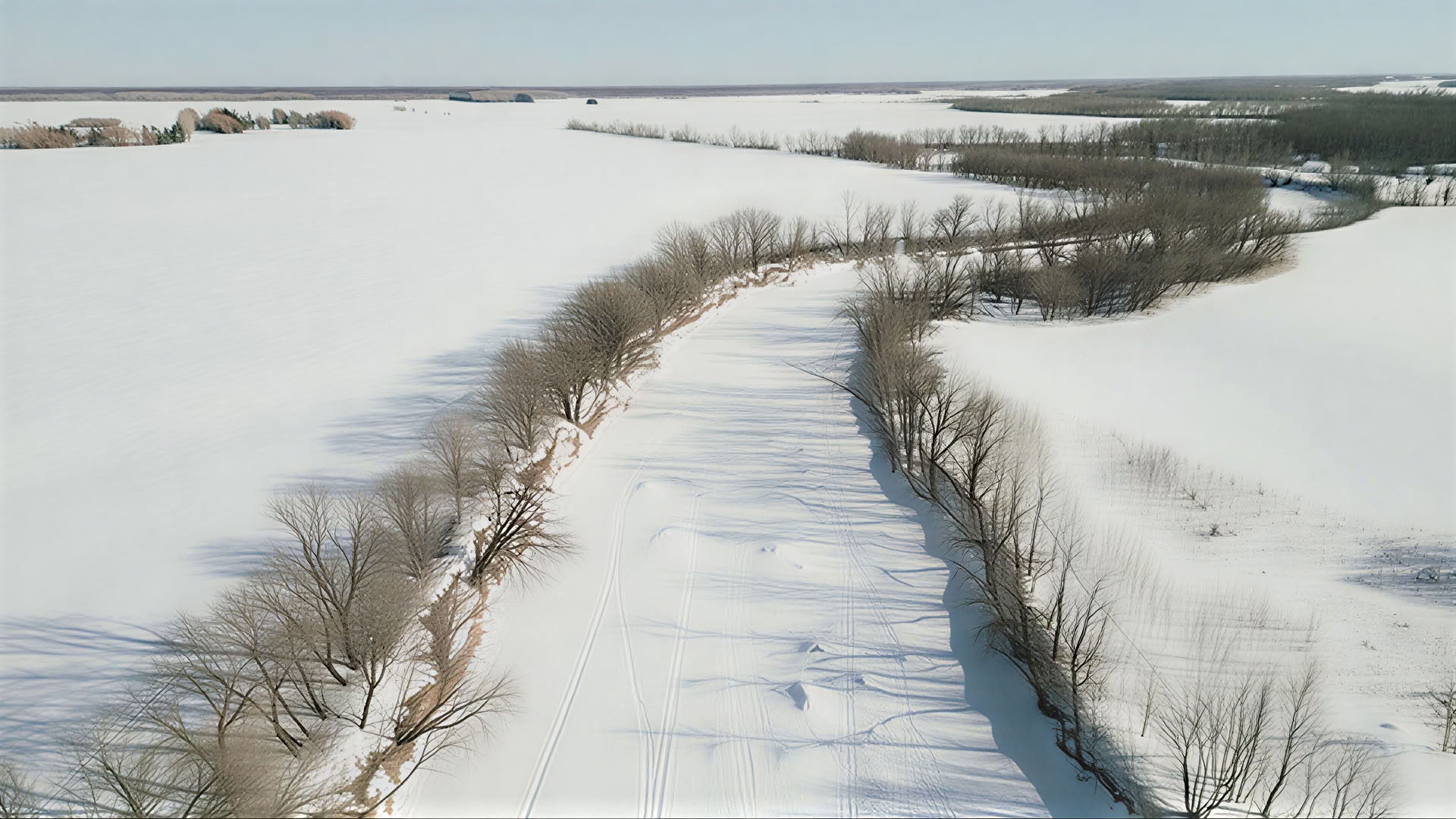 Métis menų ir kultūros diena 2026