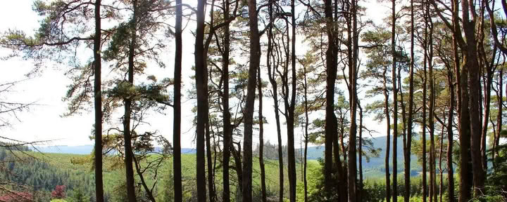 Grįžimas į Mucklagh – Samhain — Mucklagh Lodge