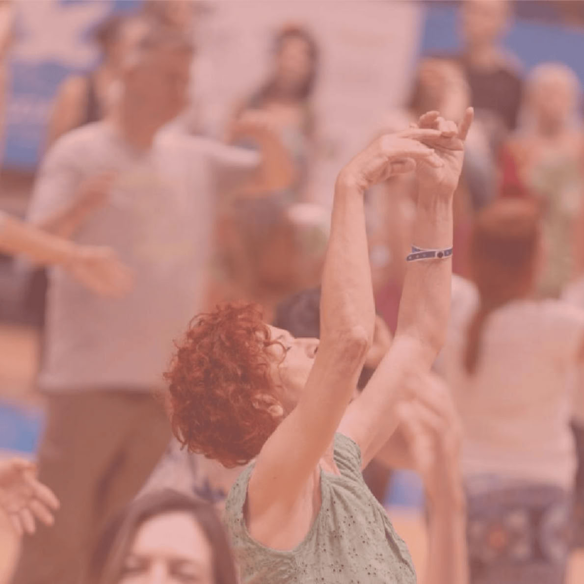 Biodanza vasaros festivalis