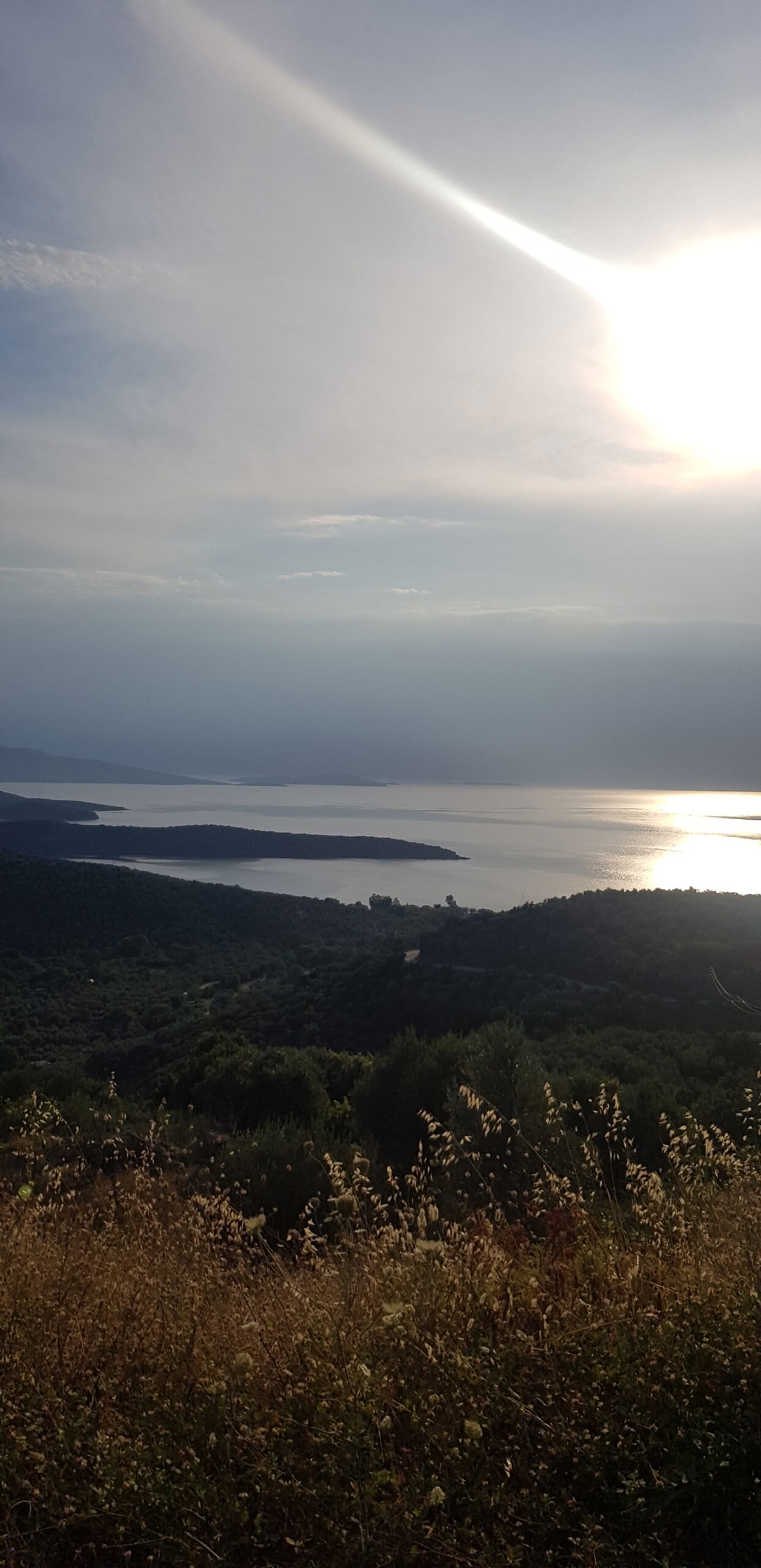 Esenų gydomoji galia