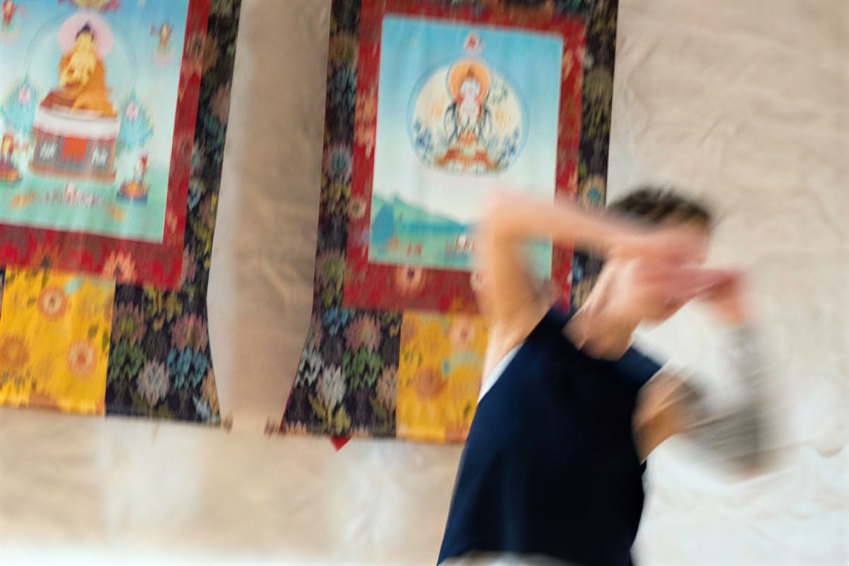 Baltasis gervinas išskleidžia sparnus: tai či, rašymas ir meditacija
