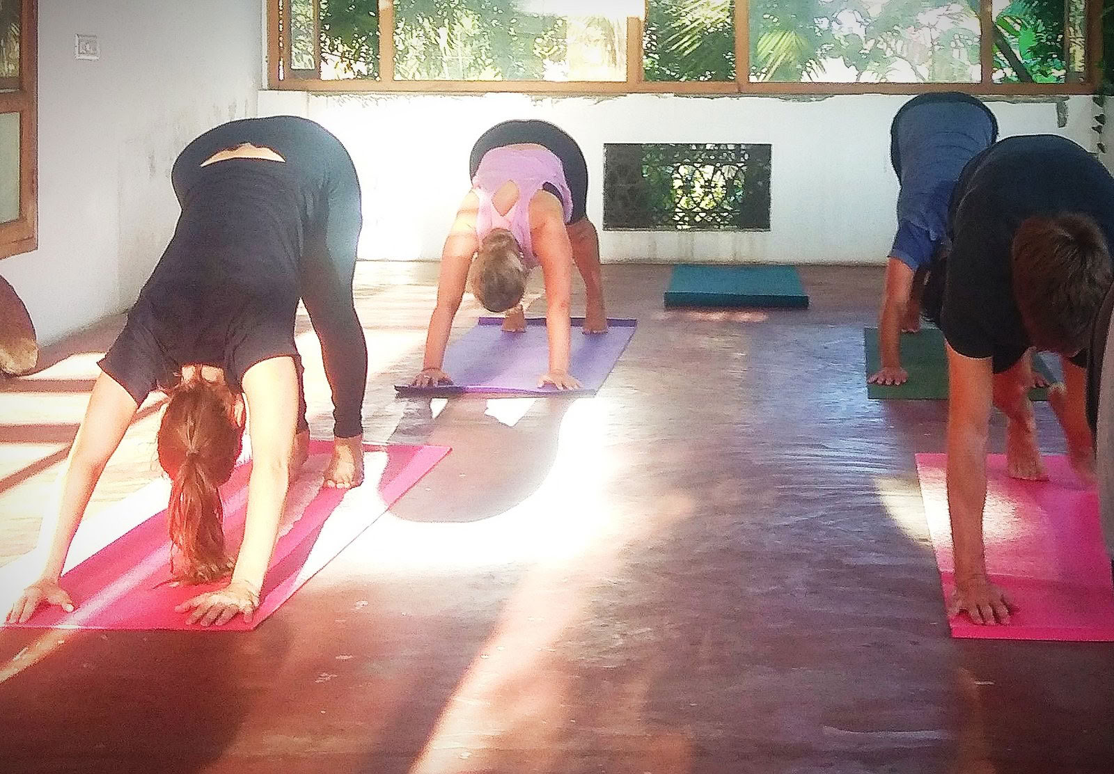 8 dienų pajūrio sveikatingumo retritas su ajurveda, joga ir zen meditacija Allepyje, Keraloje
