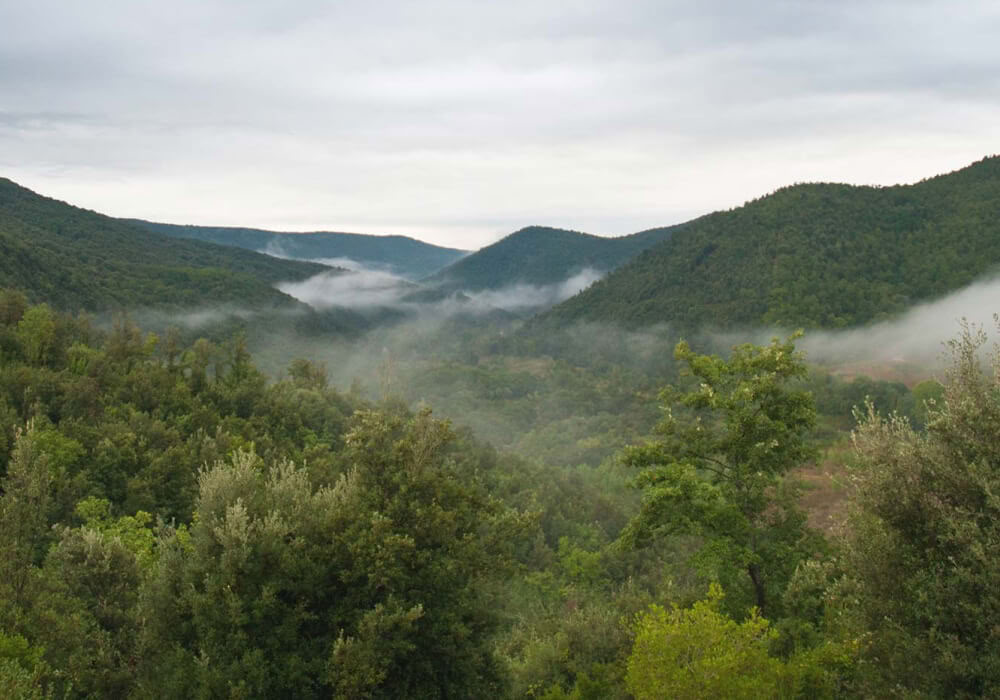 Šventovė