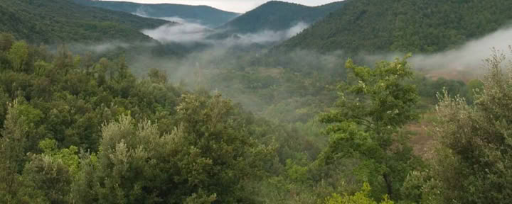 Šventovė