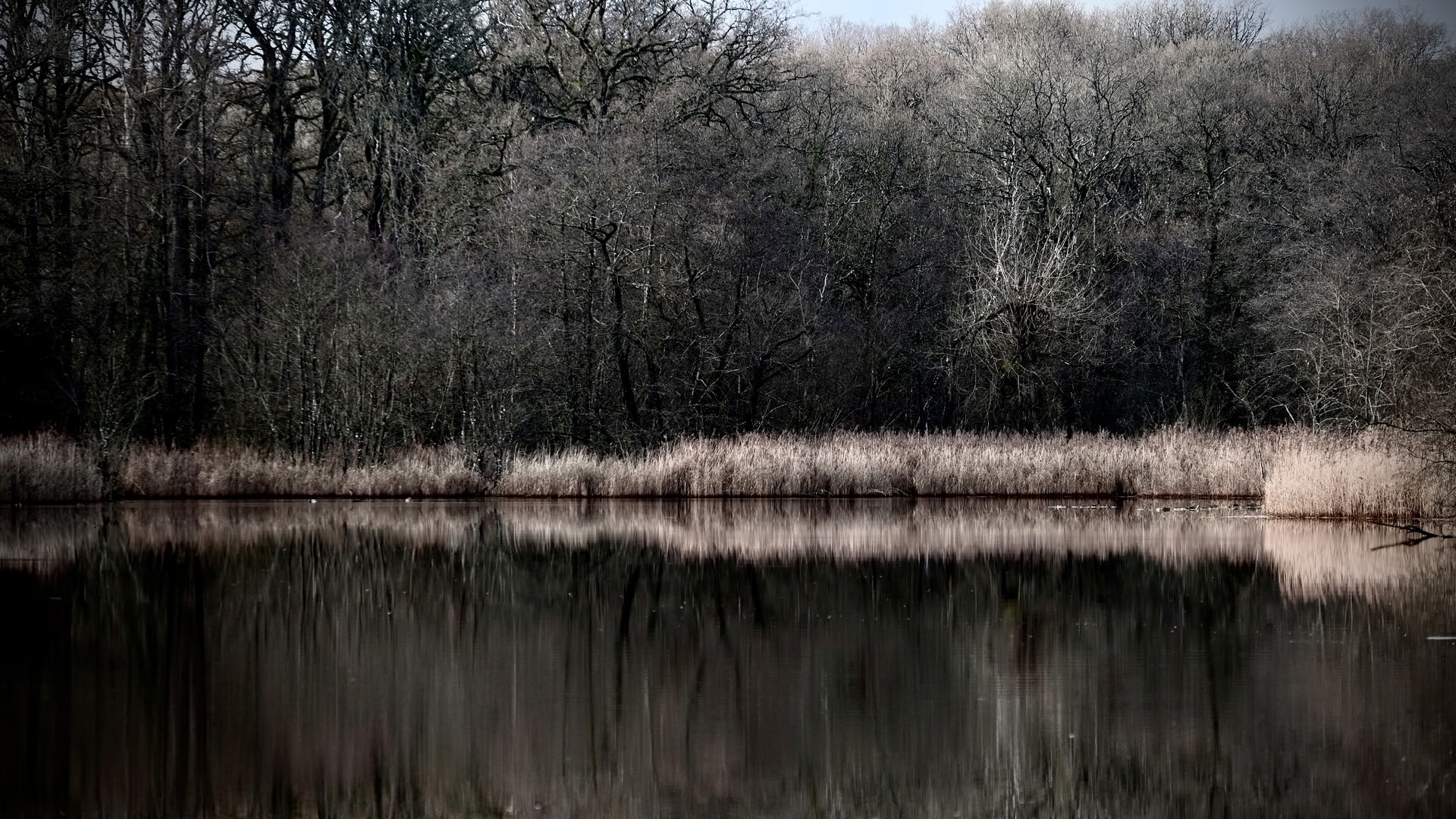 Laukinis savaitgalis – gerai išgyvenant žiemą