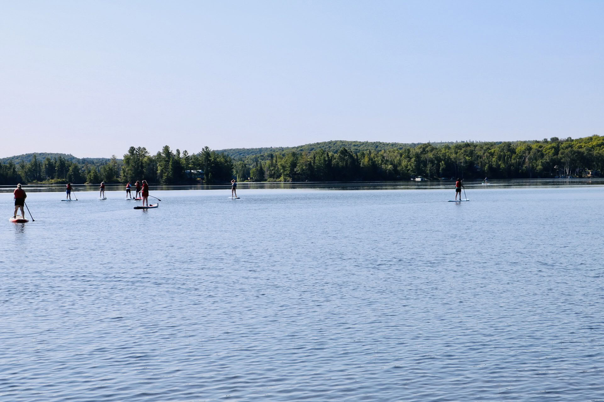 Įpročių atstatymas