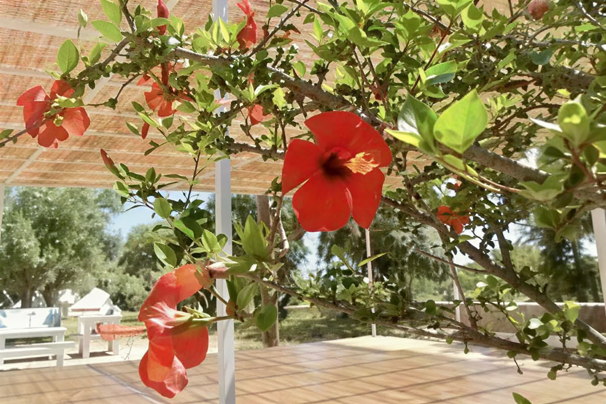 Joga ir keramika
