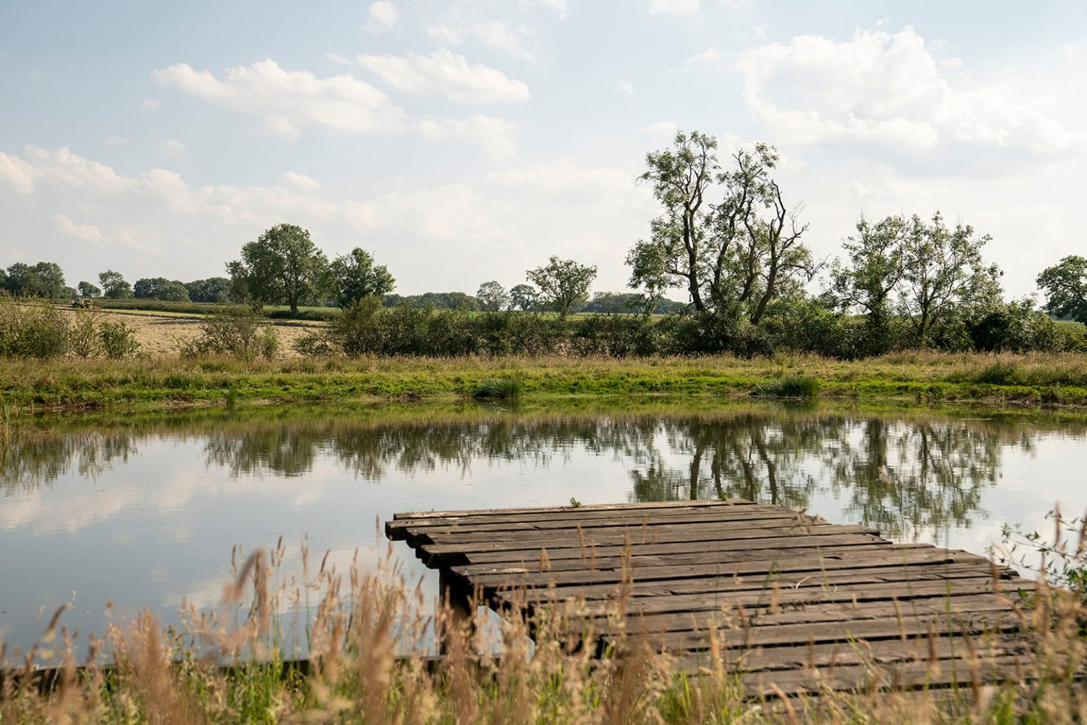 Sužydėk: diena sugrįžti į save