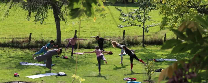 Joga, pasivaikščiojimai ir keramikos retritas New Forest, Hampšyre