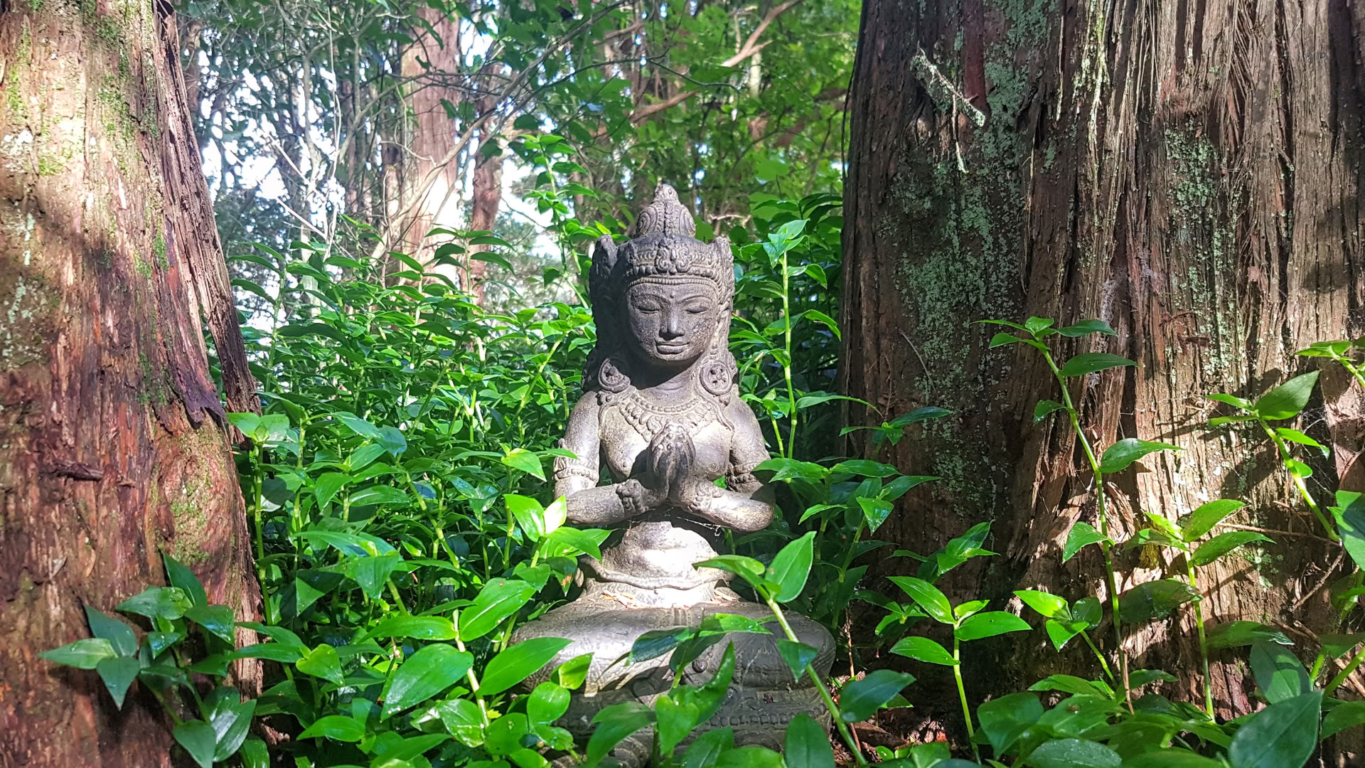 23–30 rugsėjo tylusis retritas su Radha iš Heart Awakening