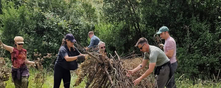 Esminis išgyvenimas laukinėje gamtoje