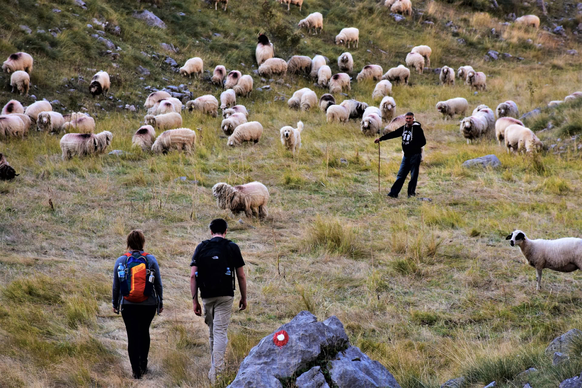 7 dienų žygis kalnuose Juodkalnijoje