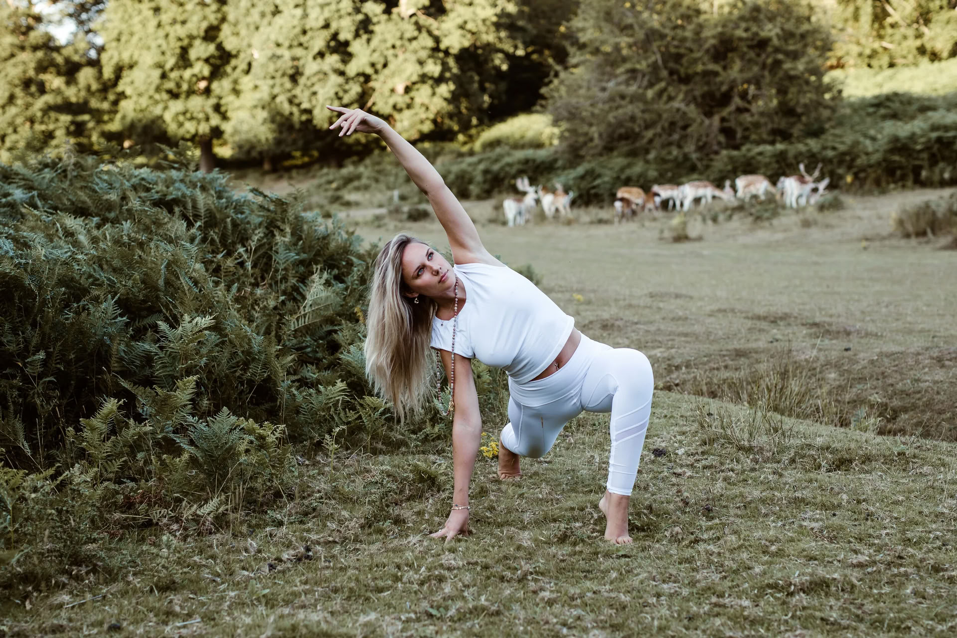 Vinyasa flow + yin joga (visi lygiai)