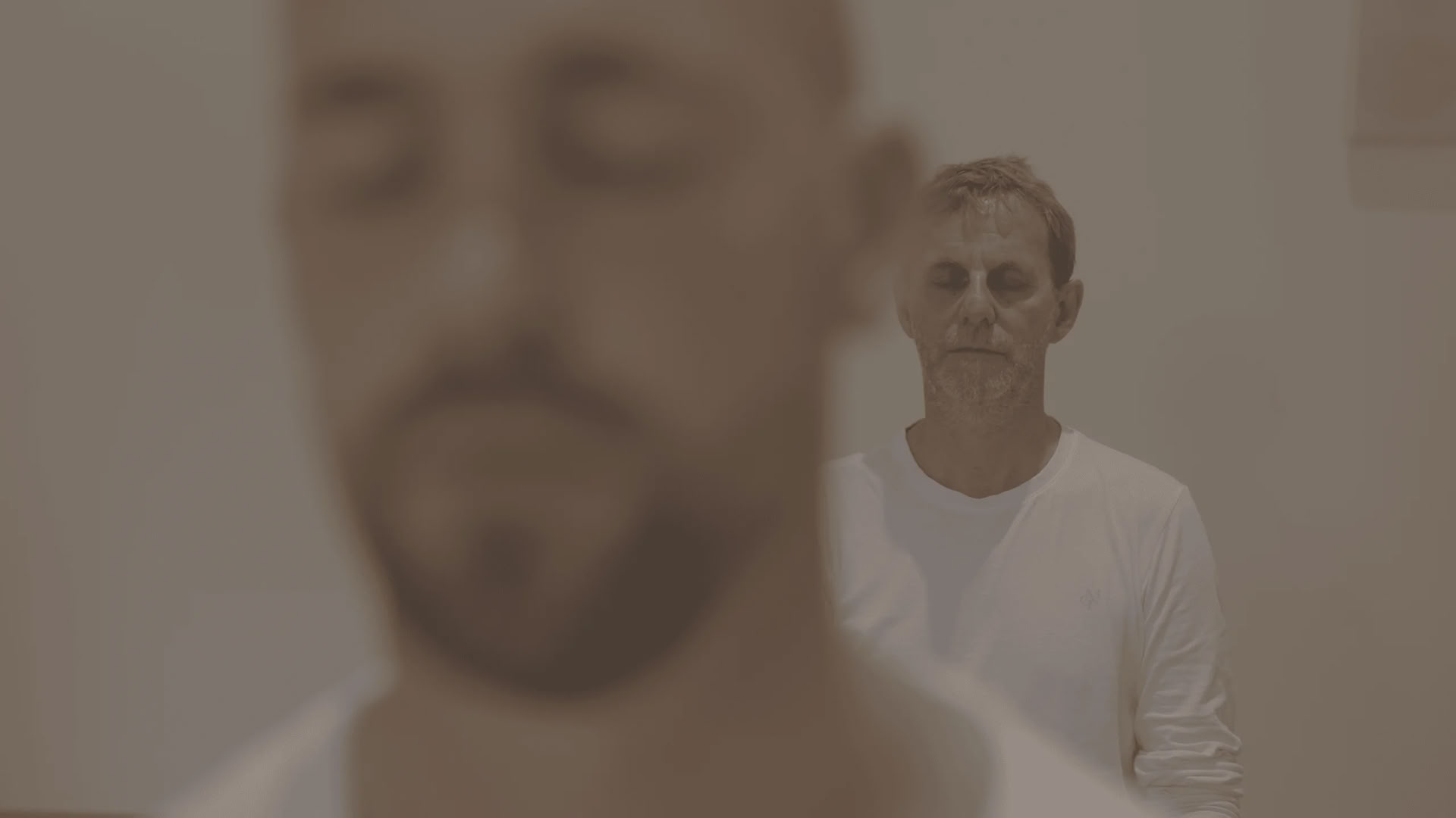 Vipasana (įžvalgos meditacija)