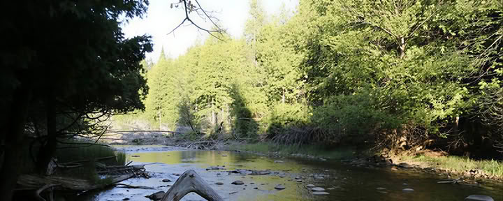 Anapus vaivorykštės