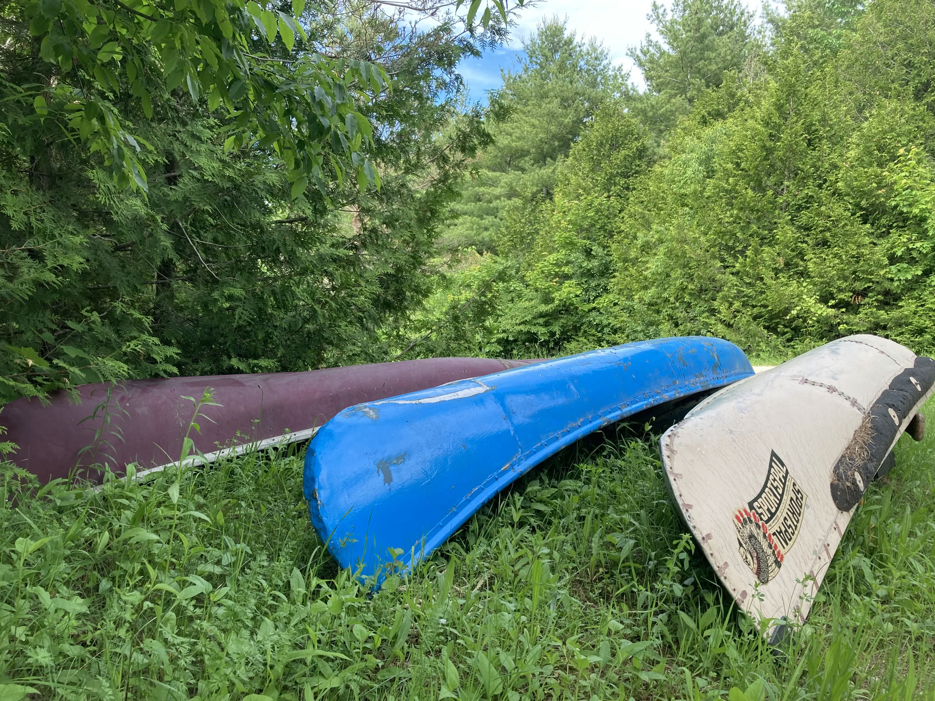 Gurmaniška tarptautinė virtuvė