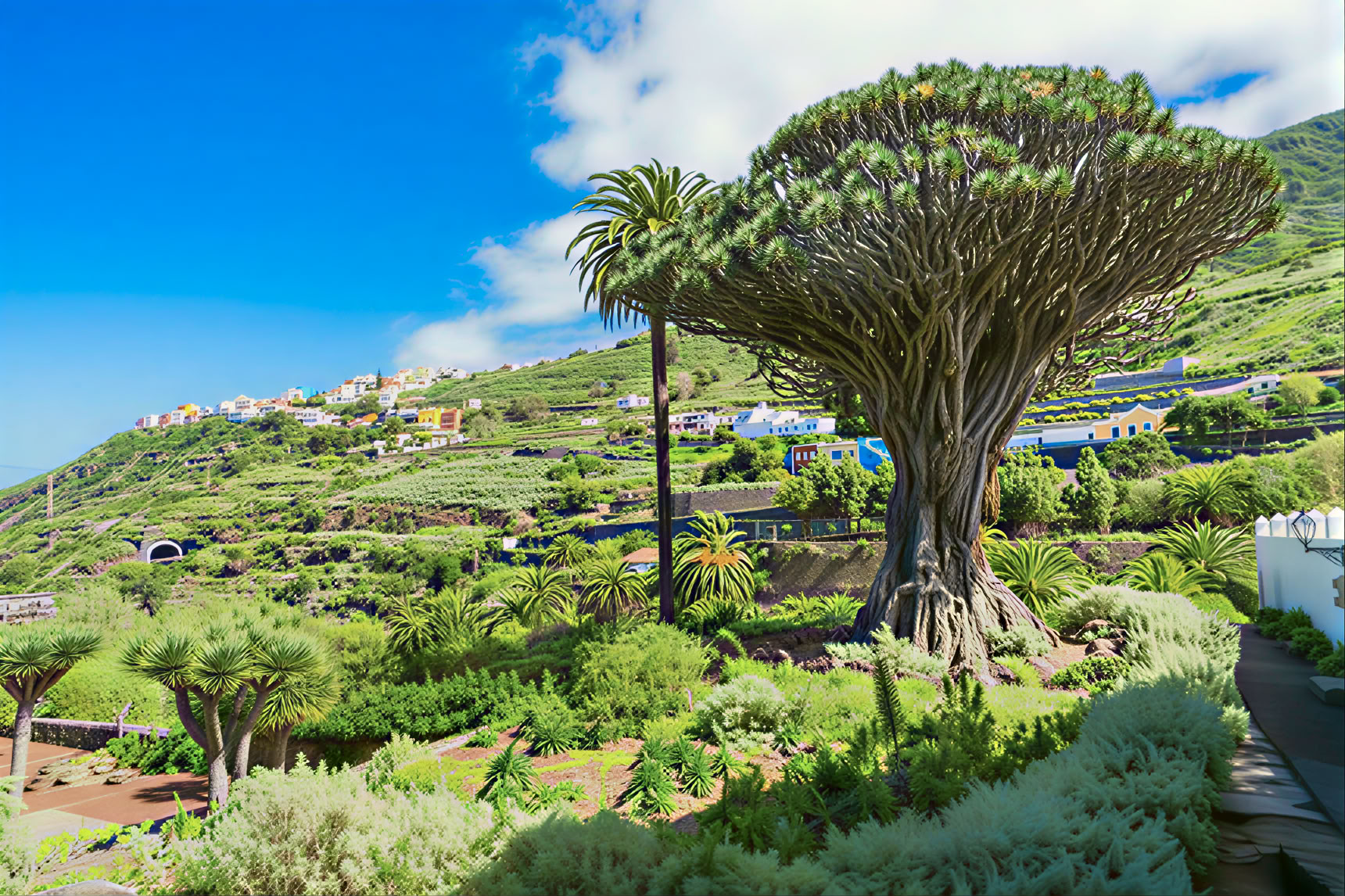 Tenerifės meditacijos turas