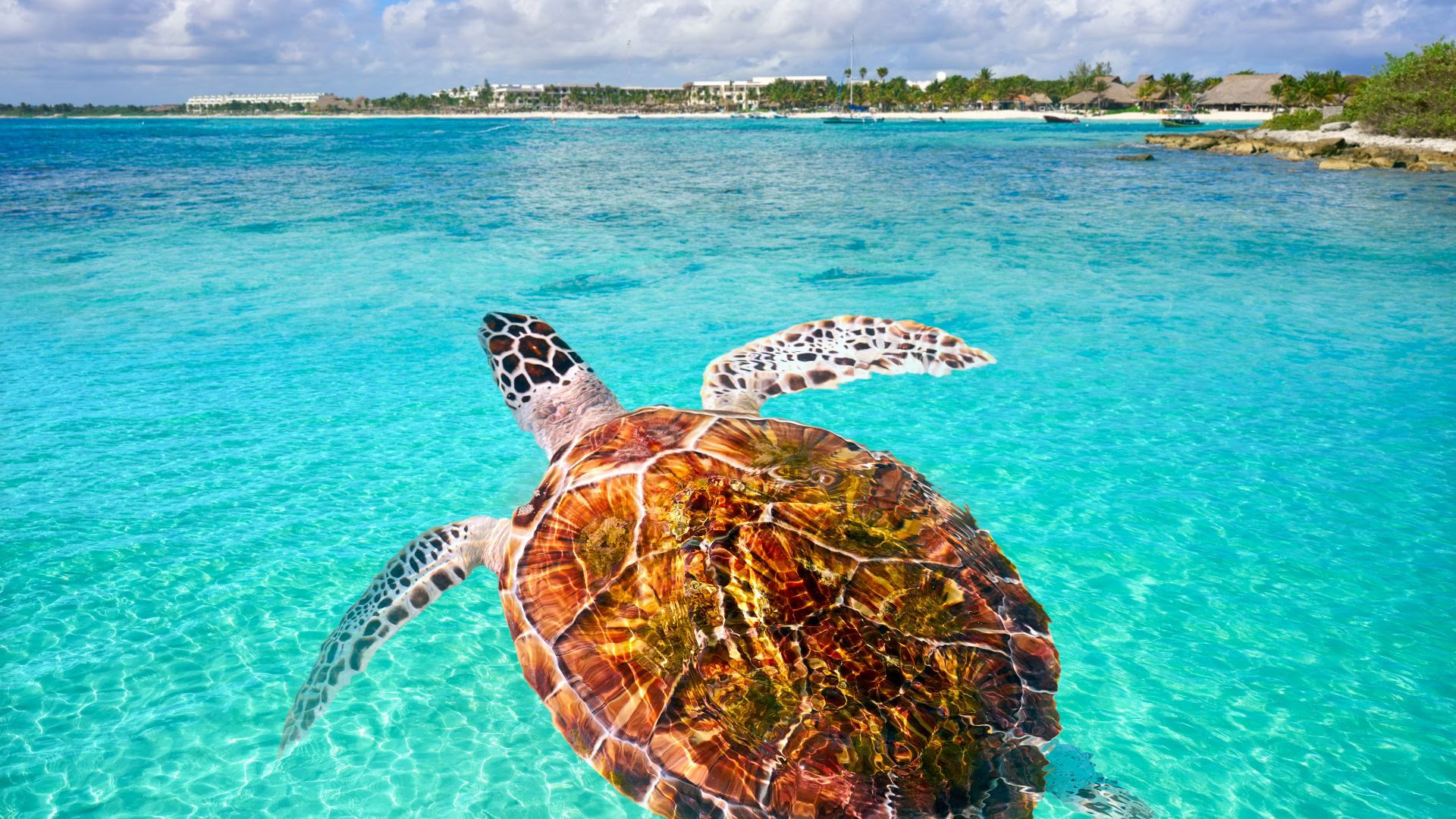 Akumal sveikatingumo retritas: liuksas su vaizdu į vandenyną