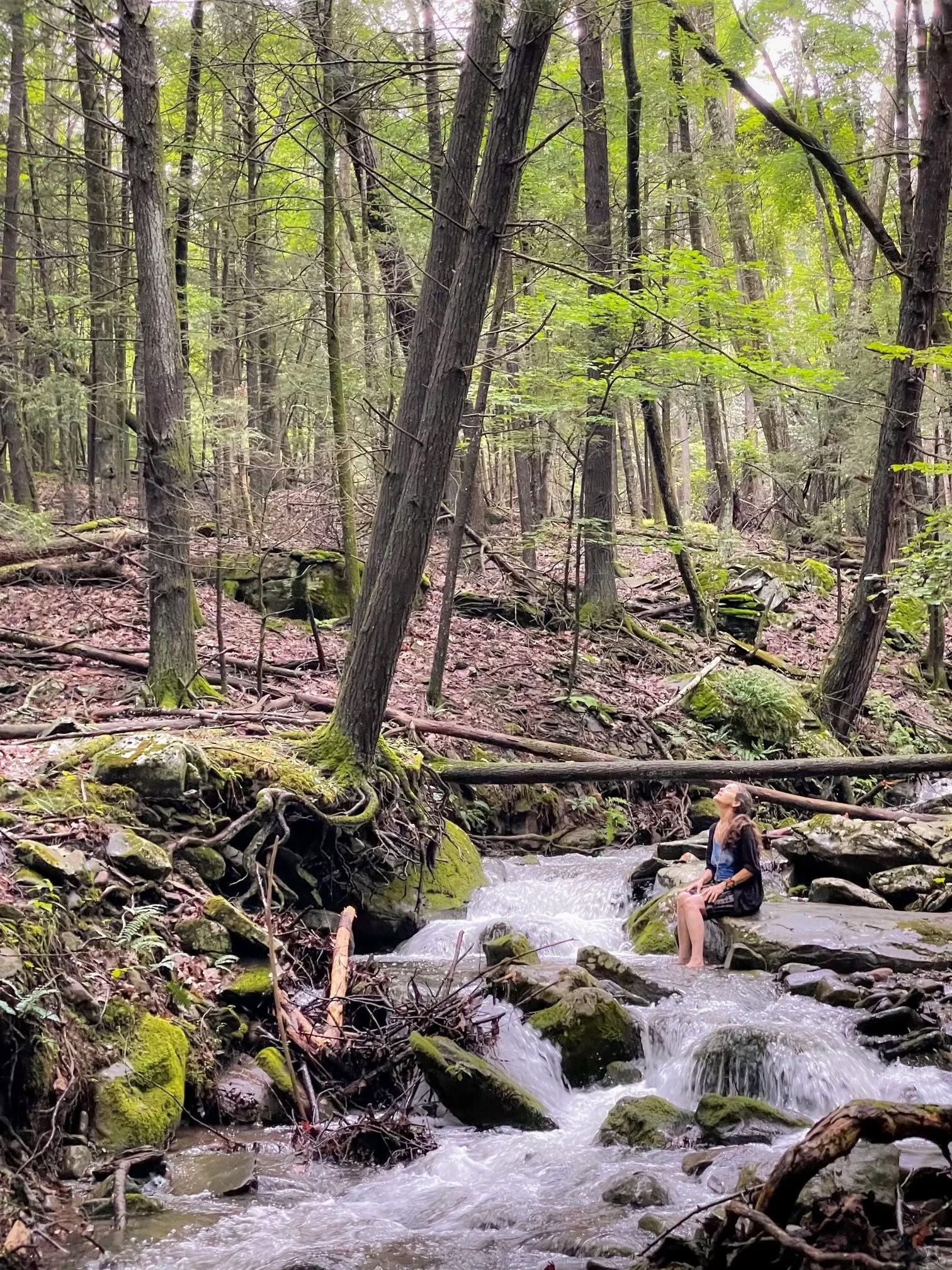 Derliaus susibūrimas N.E.S.T. su Hudson Valley Psychedelic Society — ESKFF NEST