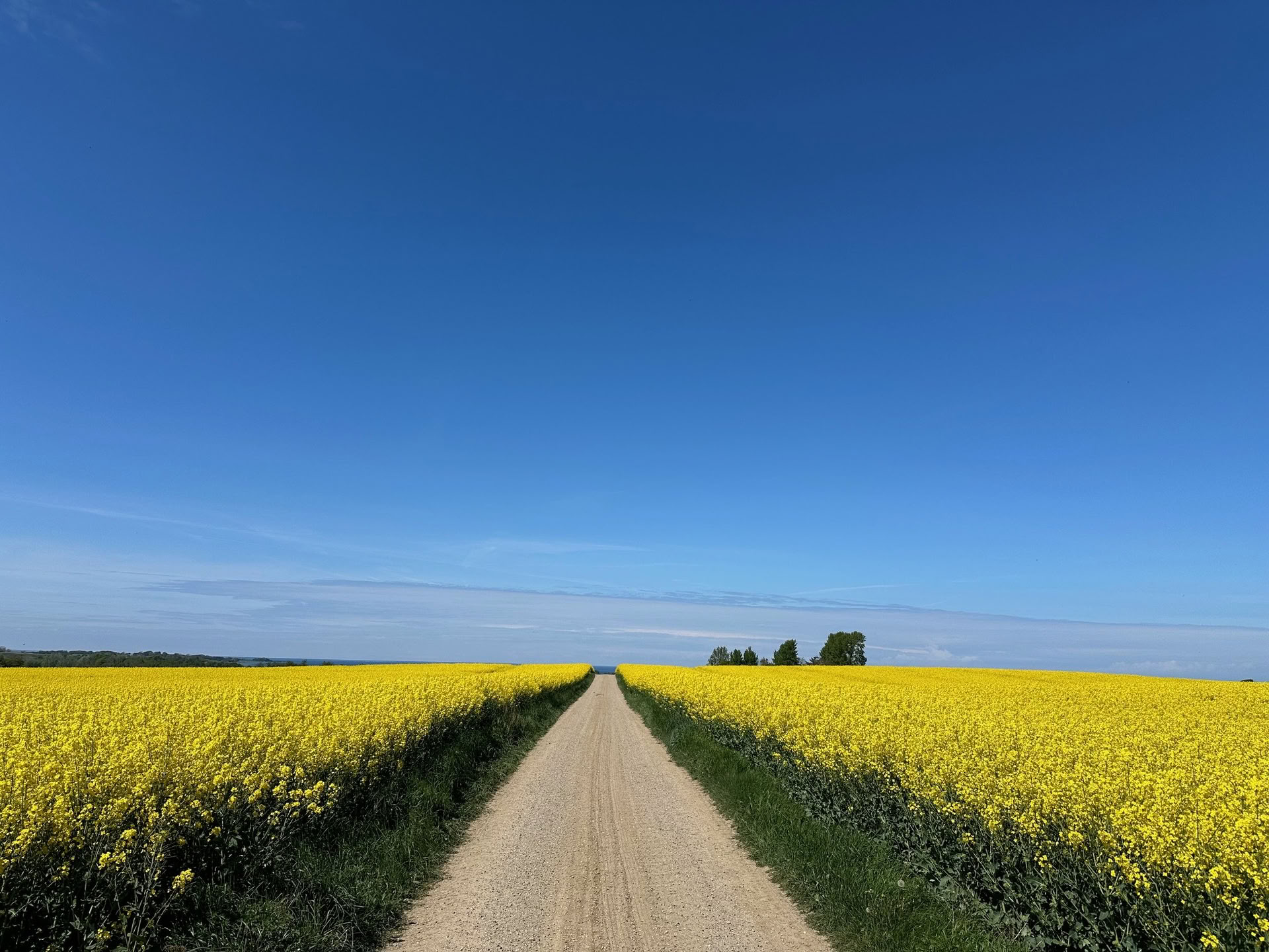 TRE (Traumos/Įtampos Išlaisvinimo Pratimų) seminaras – Atkurkite savo nervų sistemą — „The Held Space“ – nervų sistemos reguliavimo retritai ir seminarai nuo PTSD, CPTSD (kompleksinio PTSD), nerimo, perdegimo, gedulo, traumos, lėtinio skausmo,
