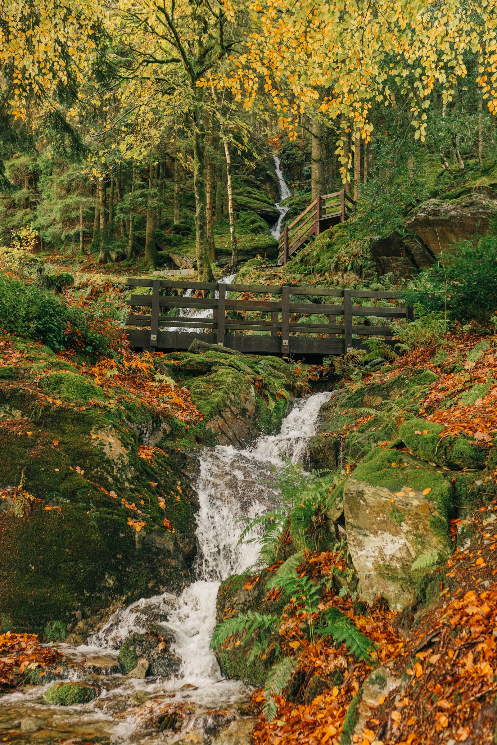 Ruošimasis tamsai