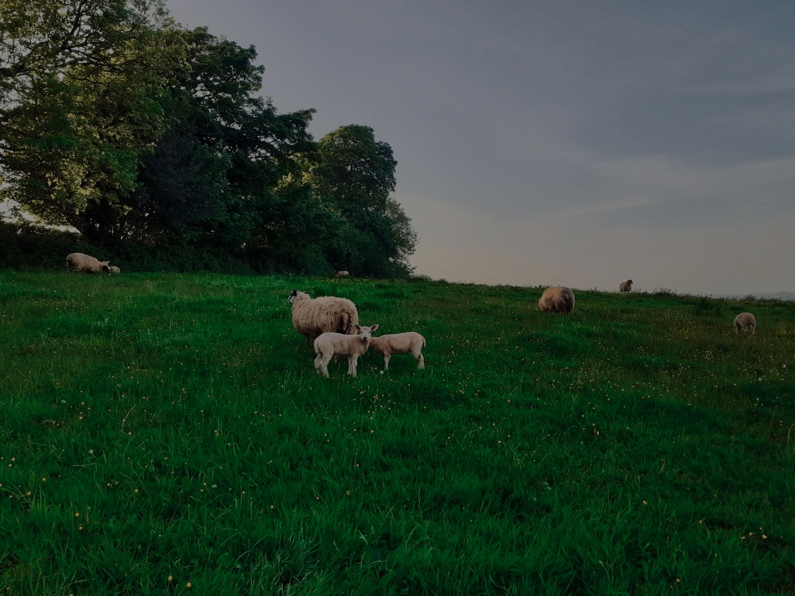 Sharpham Trust retritas