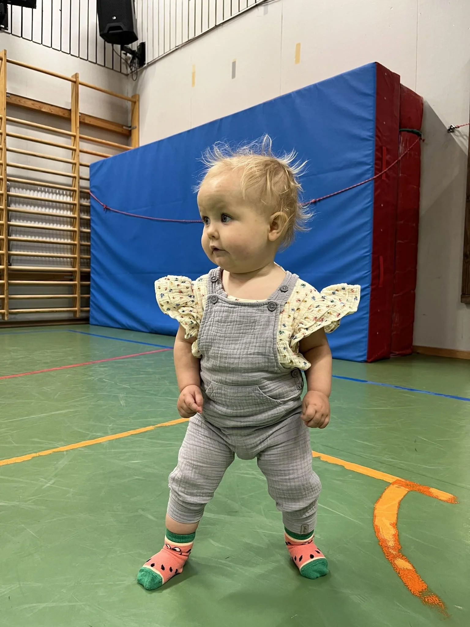 Mini sporto salė