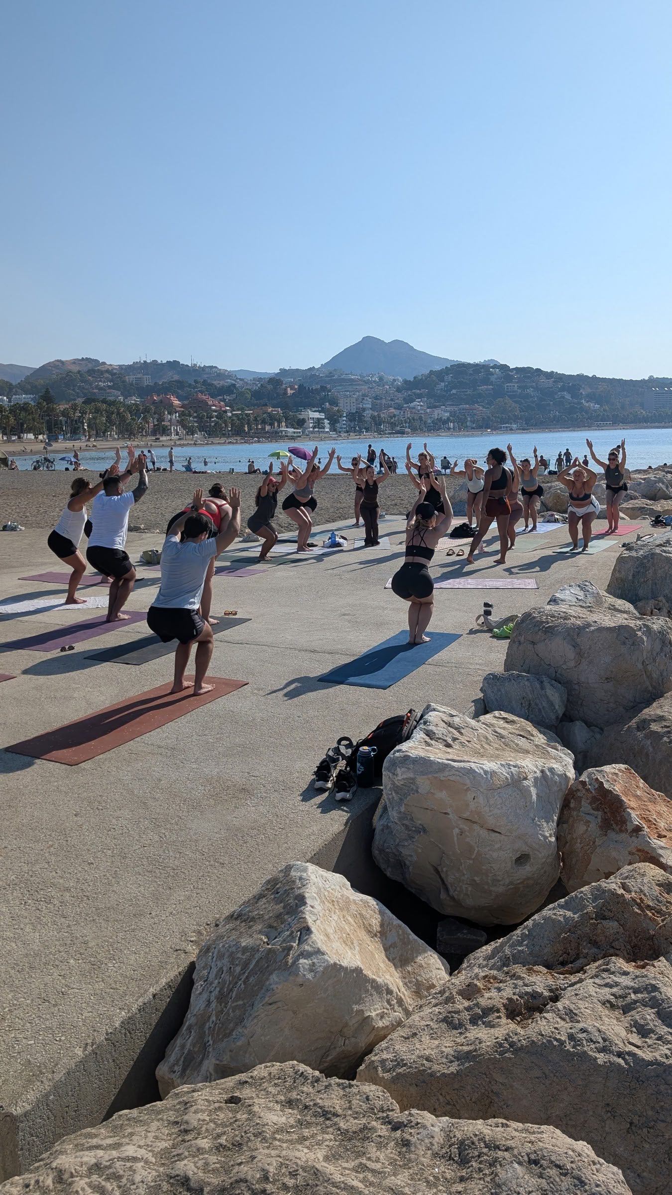 Vinyasa: kačių judesių srautas studijoje Kauma