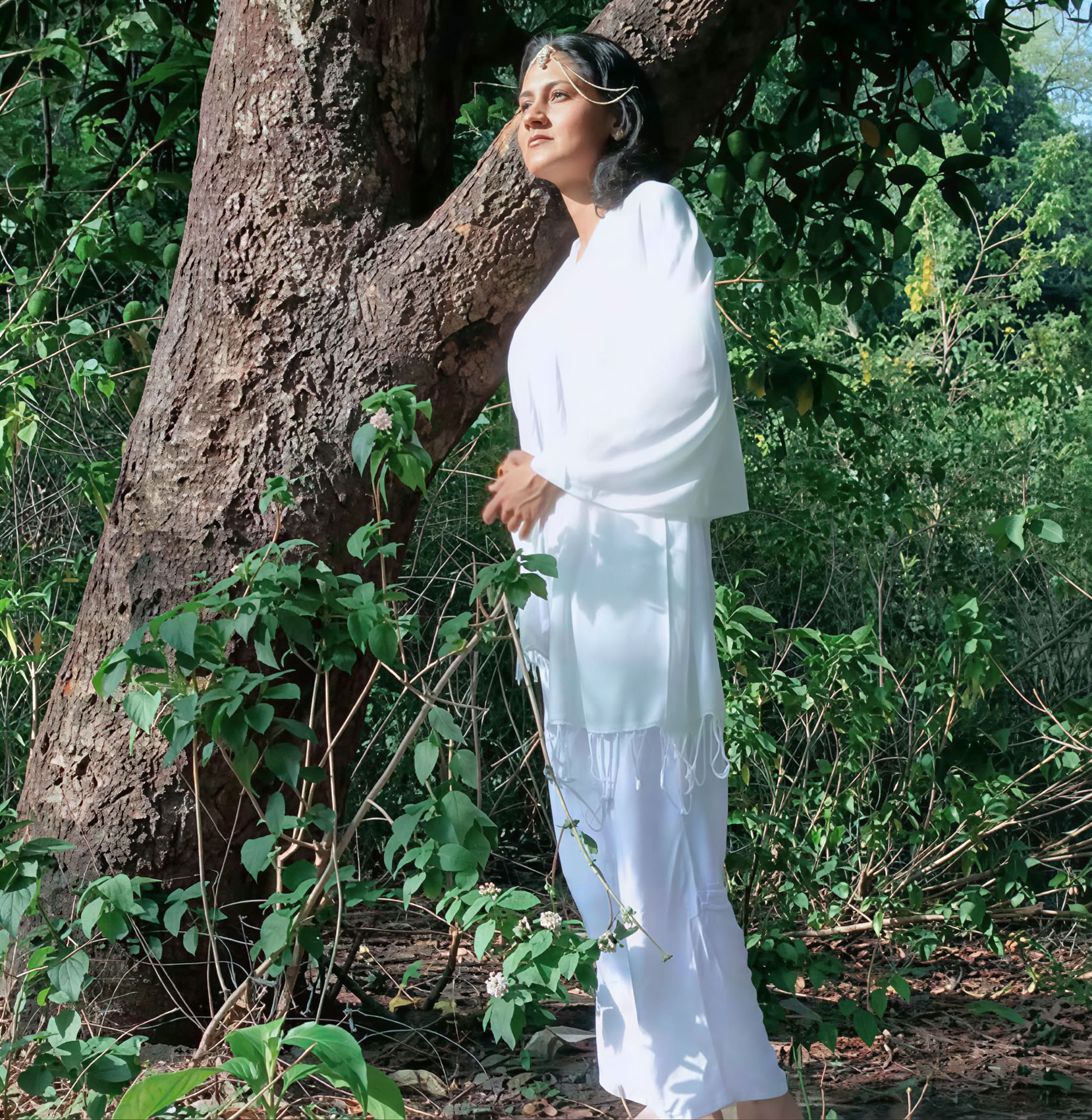 9 dienų 50 valandų garso terapijos mokytojų mokymai Rishikesh Indijoje