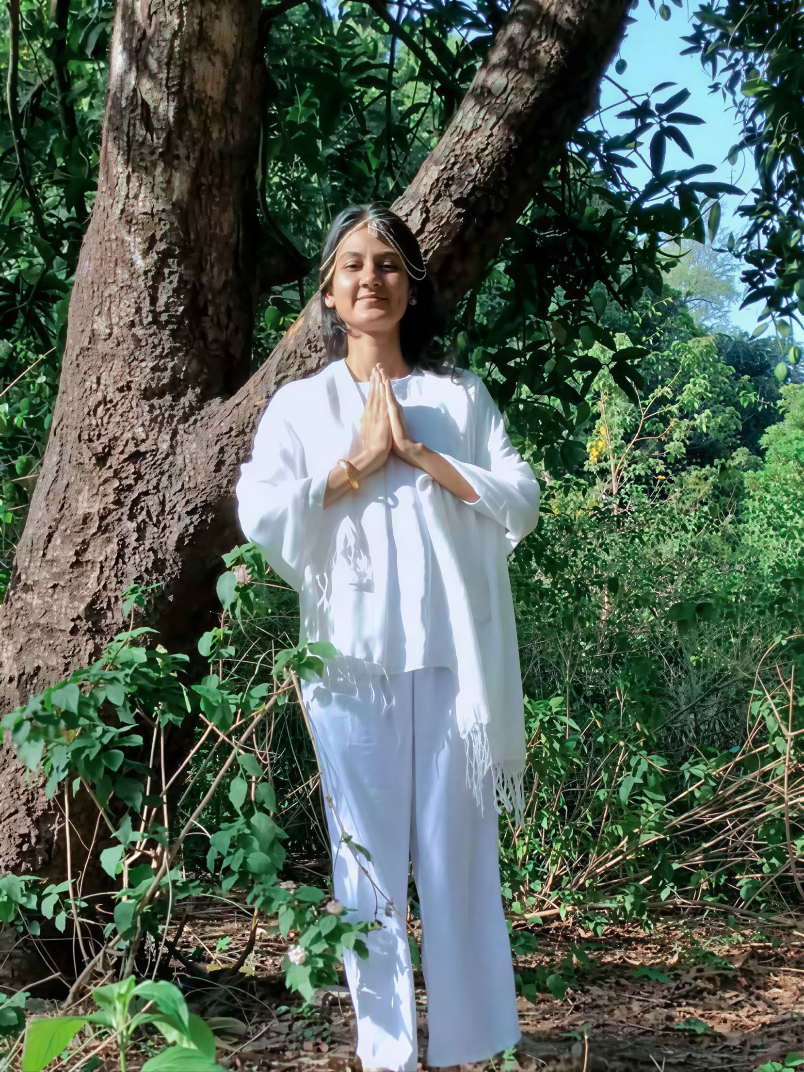 9 dienų 50 valandų garso terapijos mokytojų mokymai Rishikesh Indijoje