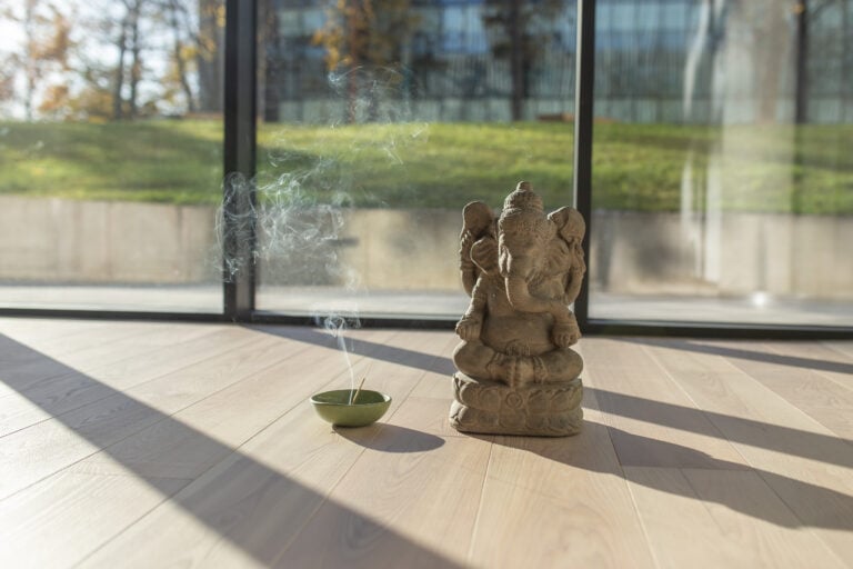 HOLOS sveikatingumo studija