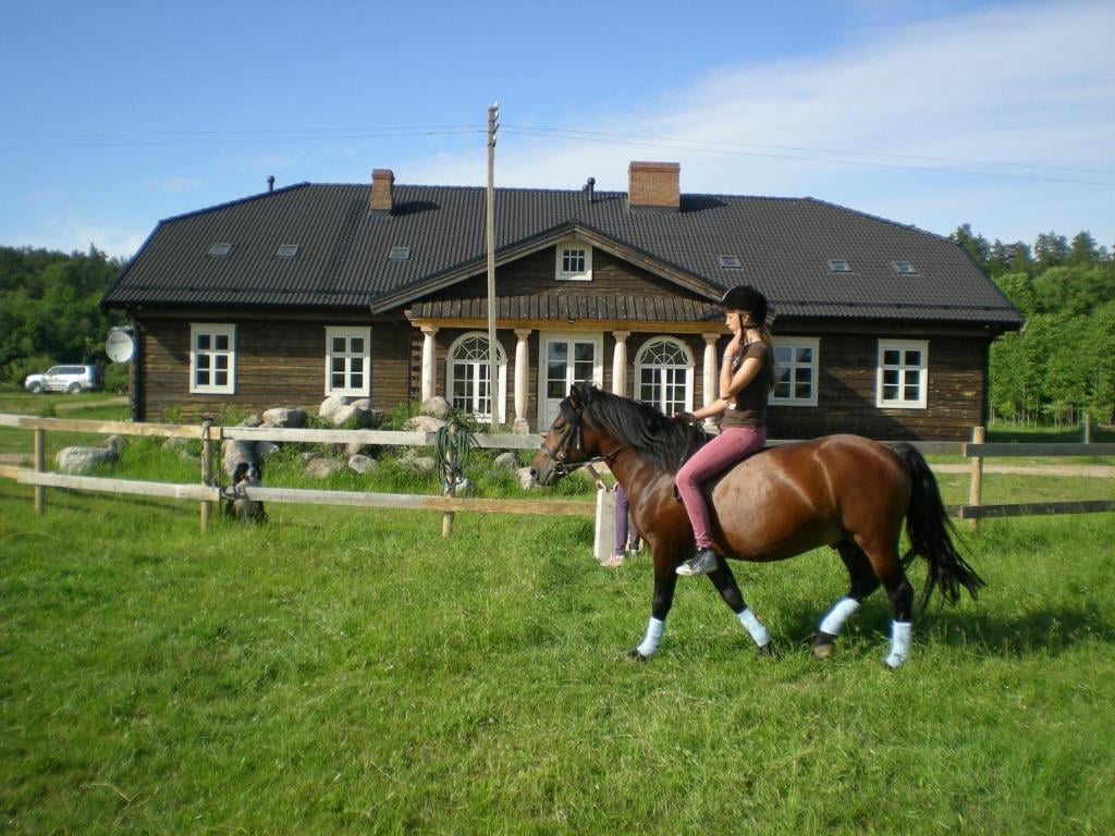 Senoji Gegužinė