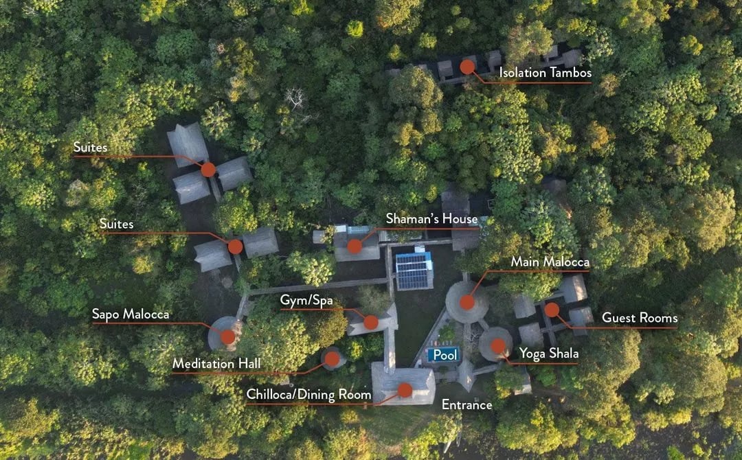 Dvasinis centras "Arkana" Amazonė