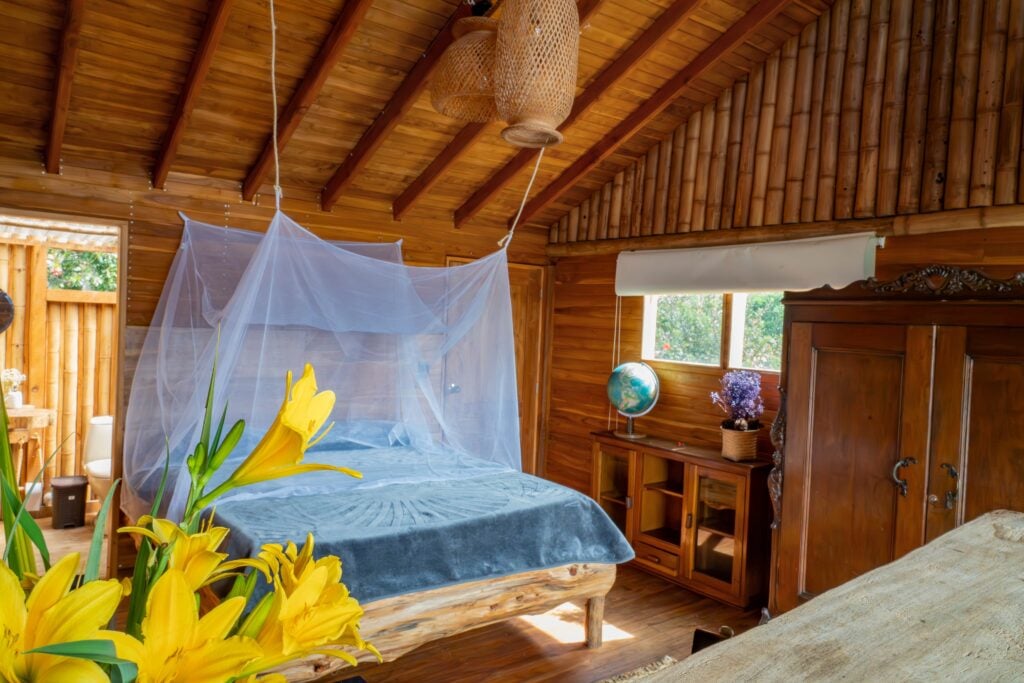 Harmonika Ayahuasca retritai 