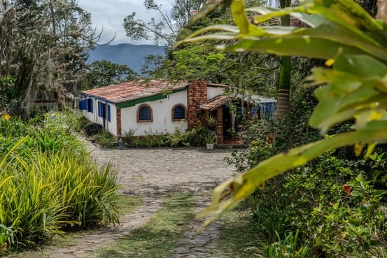 Harmonika Ayahuasca retritai 