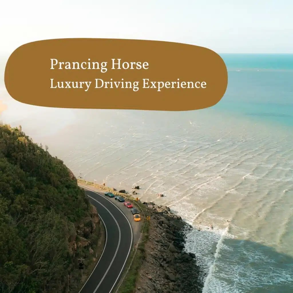 "The Reef House Adults Retritai