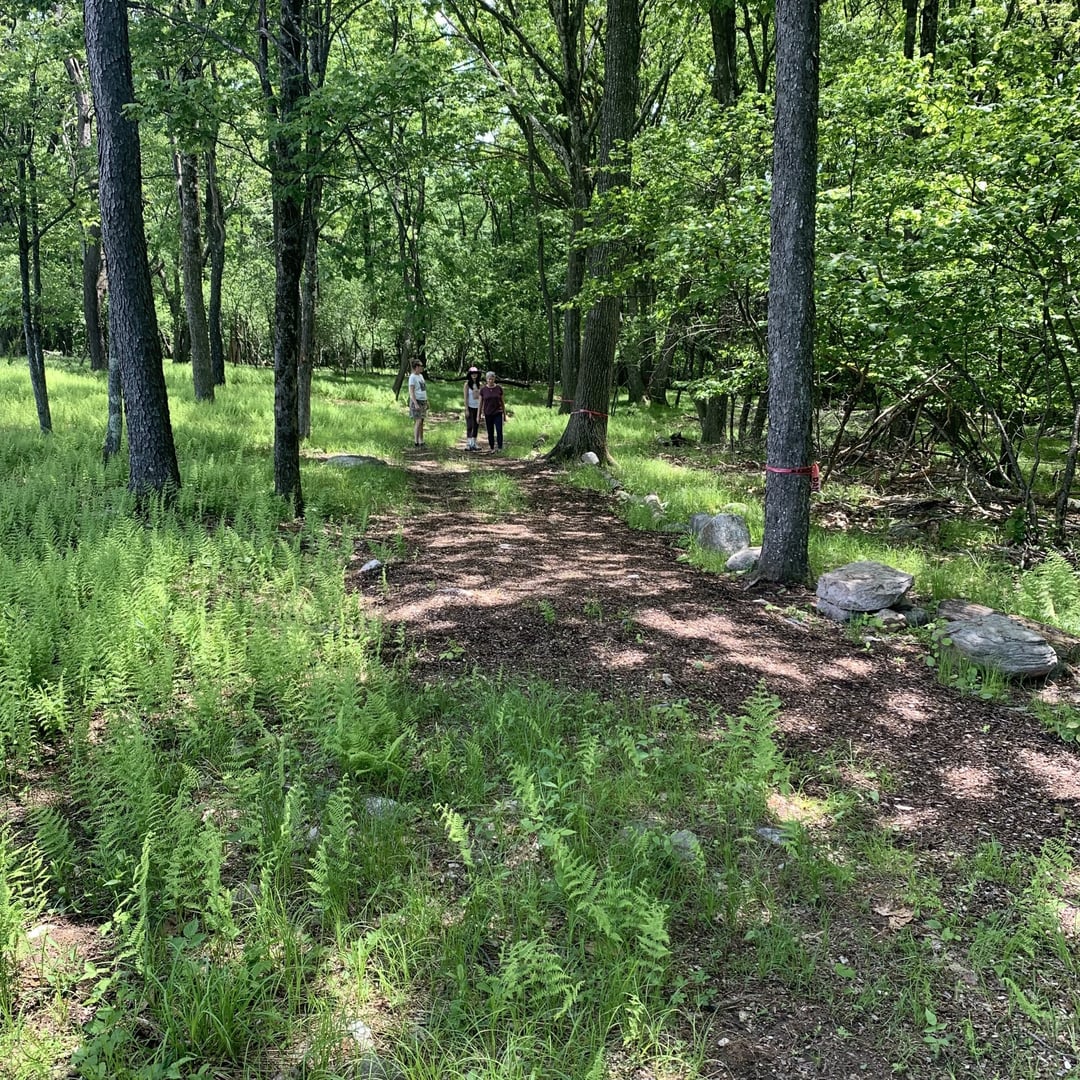 "Dharmakaya" gerovės centras