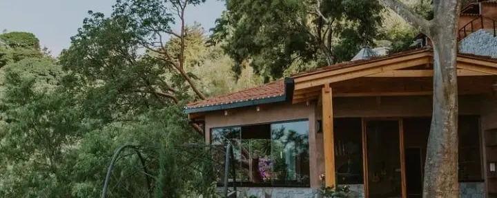 Miško takas