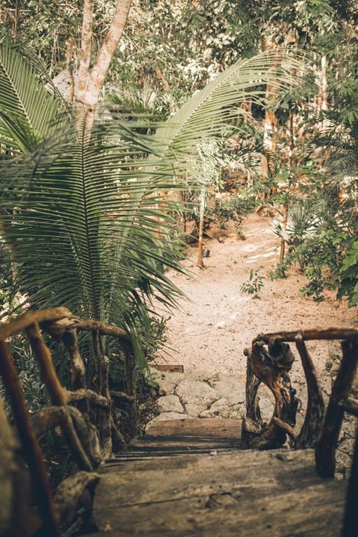 "Xanga Guru" patirtis