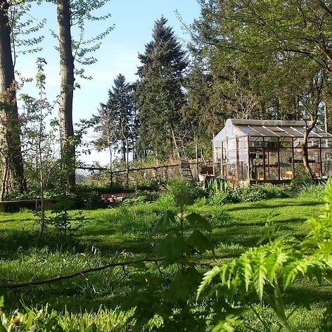 Žemės sąmoningumas