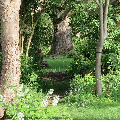 Žemės sąmoningumas